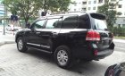 Toyota Land Cruiser VX  2010 - Bán Toyoya Landcruiser VX 2010