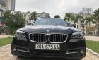 BMW 5 Series 520i 2015 - Bán xe BMW 5 Series 520i đời 2015, màu đen, nhập khẩu nguyên chiếc