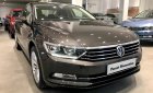 Volkswagen Passat Bluemotion 2017 - Bán xe Volkswagen Passat Bluemotion, nhập khẩu, trả trước chỉ từ 429 triệu - LH 0931 878 379