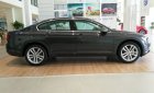 Volkswagen Passat Bluemotion 2017 - Bán xe Volkswagen Passat Bluemotion, nhập khẩu, trả trước chỉ từ 429 triệu - LH 0931 878 379