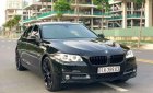 BMW 5 Series  520LCI   2017 - Cần bán xe BMW 5 Series 520LCI năm 2017, nhập khẩu nguyên chiếc  