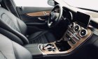 Mercedes-Benz C class C250 2015 - Cần bán lại xe Mercedes C250 năm sản xuất 2015, màu bạc