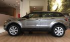 LandRover Evoque SE Plus 2018 - Bán ô tô LandRover Range Rover Evoque SE Plus năm sản xuất 2018, màu xám, xe nhập