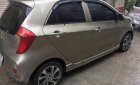 Kia Morning EX 2013 - Cần bán Kia Morning EX năm 2013, màu xám, 228 triệu