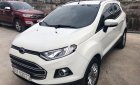 Ford EcoSport Titanium 1.5L AT 2016 - Bán ô tô Ford EcoSport Titanium 1.5L AT sản xuất năm 2016, màu trắng, odo 300000 km