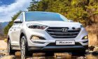 Hyundai Tucson 2018 - Bán Hyundai Tucson sẵn xe, đủ màu giao ngay
