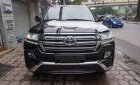 Toyota Land Cruiser VXR 4.6 2017 - Bán ô tô Toyota Land Cruiser VX. R 4.6 AT đời 2017, màu đen, xe nhập Trung Đông mới 100%