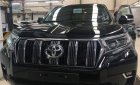 Toyota Prado   2018 - Bán Toyota Prado đời 2018, màu đen, nhập khẩu