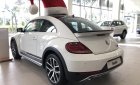 Volkswagen Beetle Dune 2018 - Bán ô tô Volkswagen Beetle Dune năm 2018, xe nhập chính hãng, xe mới giao ngay. LH 0931 878 379