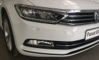 Volkswagen Passat 2018 - Volkswagen Passat 2018, nhập khẩu, đủ màu, giao ngay