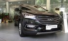 Hyundai Santa Fe 2018 - Bán xe Hyundai Santa Fe 2018, màu đen