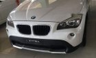 BMW X1 2010 - Bán ô tô BMW X1 2010 Tự động sản xuất 2010, 615 triệu