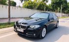 BMW 5 Series 520i 2015 - Bán ô tô BMW 5 Series 520i sản xuất năm 2015, màu đen, nhập khẩu nguyên chiếc