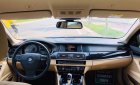 BMW 5 Series 520i 2015 - Bán ô tô BMW 5 Series 520i sản xuất năm 2015, màu đen, nhập khẩu nguyên chiếc