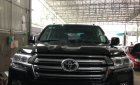 Toyota Land Cruiser VX 4.6 V8 2011 - Bán xe Toyota Land Cruiser VX 4.6 V8 2011, màu đen, nhập khẩu 