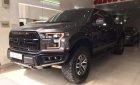 Ford F 150  Raptor  2017 - Bán ô tô Ford F 150 Raptor đời 2017, nhập khẩu