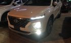 Hyundai Santa Fe 2019 - Cần Thơ bán Santa Fe 2019 - Giá khoảng 1 tỷ 010tr