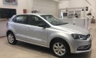 Volkswagen Polo 2016 - Bán Volkswagen Polo Hatchback 2016, nhập khẩu nguyên chiếc, trả trước chỉ từ 200 triệu, LH 0931878379