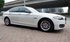 BMW 5 Series 520i  2014 - Cần bán xe BMW 5 Series 520i sản xuất 2014, xe nhập