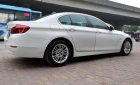 BMW 5 Series 520i  2014 - Cần bán xe BMW 5 Series 520i sản xuất 2014, xe nhập