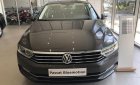 Volkswagen Passat 2018 - Bán Volkswagen Passat Bluemotion model 2017 sedan cao cấp _ Volkswagen VN nhập khẩu