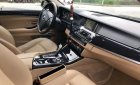 BMW 5 Series 520i 2014 - Bán xe BMW 5 Series 520i đời 2014, màu nâu, nhập khẩu 