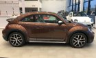 Volkswagen Beetle 2018 - Bán xe Volkswagen Beetle sản xuất 2018, màu nâu nhập từ Âu