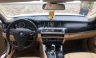 BMW 5 Series 520i 2014 - Bán ô tô BMW 520i năm 2014, màu trắng, xe nhập