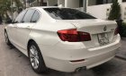 BMW 5 Series 520i 2016 - Cần bán BMW 5 Series 520i đời 2016, màu trắng, nhập khẩu nguyên chiếc