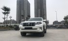 Toyota Prado 2018 - Cần bán xe Toyota Prado đời 2018, màu trắng, xe siêu lướt thơm mùi mới - Liên hệ: 094-711-6996 Mr Thanh