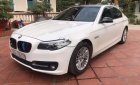 BMW 5 Series 520i 2014 - Bán ô tô BMW 520i năm 2014, màu trắng, xe nhập