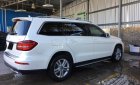 Mercedes-Benz GLS GLS350D 2018 - Bán ô tô Mercedes GLS350D năm 2018, màu trắng, nhập khẩu nguyên chiếc ở Buôn Ma Thuột, Đắk Lắk