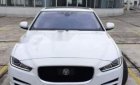 Jaguar XE   2016 - Cần bán gấp Jaguar XE đời 2016, màu trắng, xe nhập