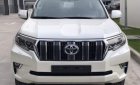 Toyota Prado 2019 - Cần bán xe Toyota Prado 2019, màu trắng, nhập khẩu nguyên chiếc