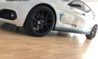 BMW X4   2017 - Bán ô tô BMW X4 2017, nhập khẩu như mới