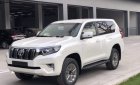 Toyota Prado 2019 - Cần bán xe Toyota Prado 2019, màu trắng, nhập khẩu nguyên chiếc