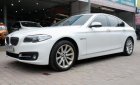 BMW 5 Series 528i 2014 - Bán ô tô BMW 5 Series 528i sản xuất 2014, nhập khẩu