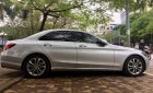 Mercedes-Benz C class C200 2015 - Bán xe Mercedes C200 sản xuất 2015, màu bạc