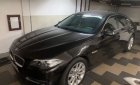 BMW 5 Series 2016 - Bán BMW 5 Series sản xuất 2016, nhập khẩu nguyên chiếc