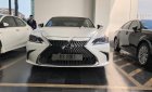 Lexus ES 250 2018 - Bán Lexus ES 250 2019 hoàn toàn mới sẽ đến tay khách hàng trong tháng 1/2019