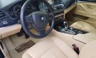 BMW 5 Series 520i 2016 - Bán ô tô BMW 5 Series 520i sản xuất 2016, 31000km, còn rất mới