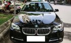 BMW 5 Series 520i 2016 - Bán BMW 5 Series 520i Sx 2016, 31000KM, xe chính chủ