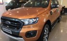 Ford Ranger Wildtrak 2018 - Bán ô tô Ford Ranger Wildtrak năm sản xuất 2018, nhập khẩu nguyên chiếc