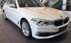 BMW 5 Series 530i 2019 - Cần bán xe BMW 5 Series 530i đời 2019, màu trắng, nhập khẩu nguyên chiếc