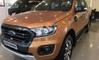 Ford Ranger Wildtrak 2.0L 4x4 AT 2018 - Cần bán xe Ford Ranger Wildtrak 2.0L 4x4 AT đời 2018, nhập khẩu