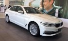 BMW 5 Series 530i 2019 - Cần bán xe BMW 5 Series 530i đời 2019, màu trắng, nhập khẩu nguyên chiếc