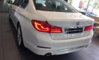 BMW 5 Series 530i 2019 - Cần bán xe BMW 5 Series 530i đời 2019, màu trắng, nhập khẩu nguyên chiếc