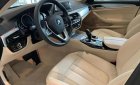 BMW 5 Series 520i 2019 - Bán ô tô BMW 5 Series 520i năm 2019, màu xanh lam, nhập khẩu