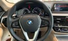 BMW 5 Series 520i 2019 - Bán ô tô BMW 5 Series 520i năm 2019, màu xanh lam, nhập khẩu