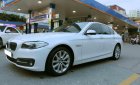 BMW 5 Series 520i 2016 - Bán BMW 5 Series 520i SX 2016, đi 22000km, còn rất mới